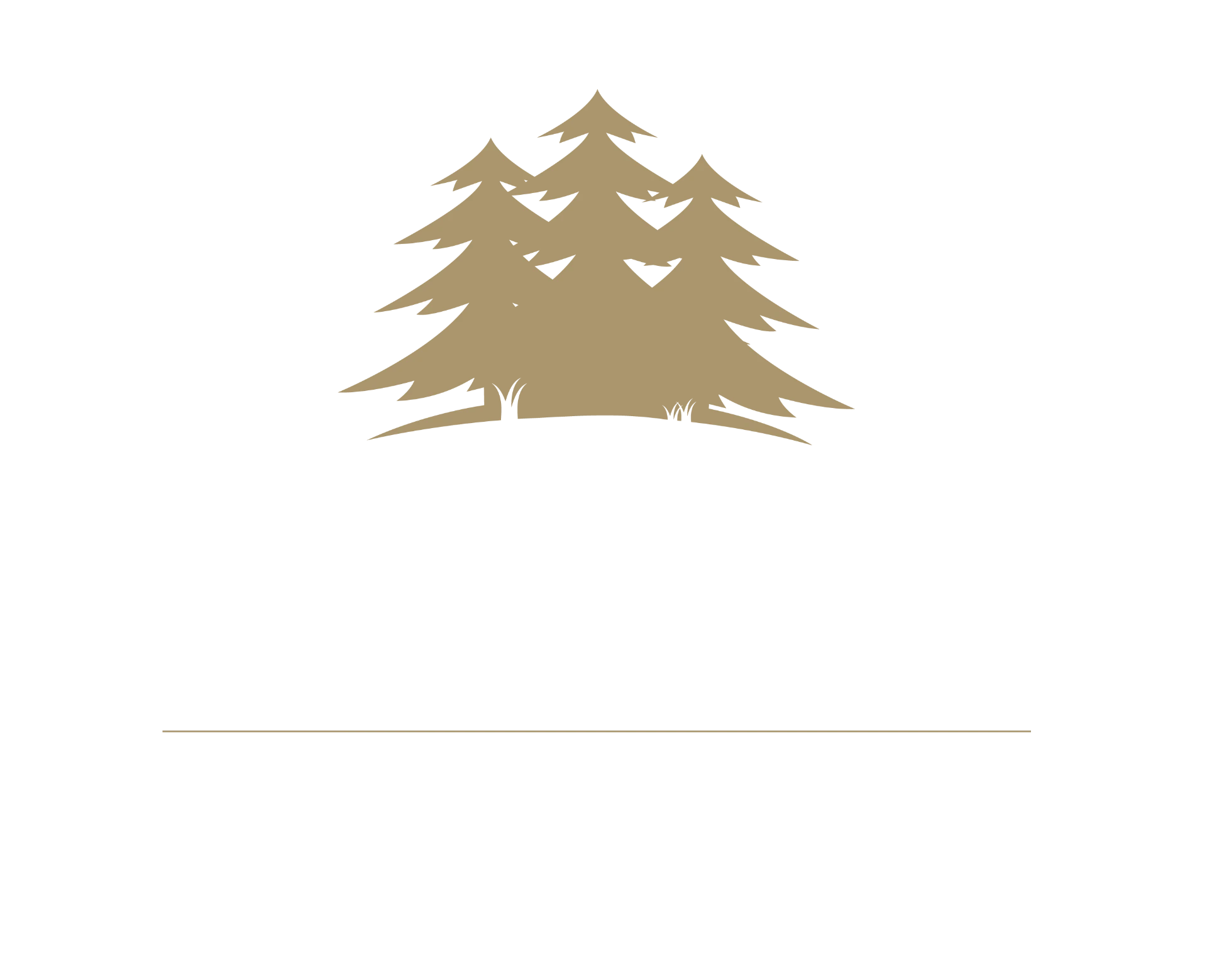 Stephen's Park